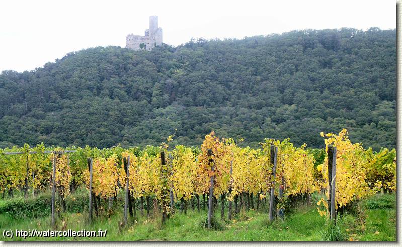 Diapositive suivante